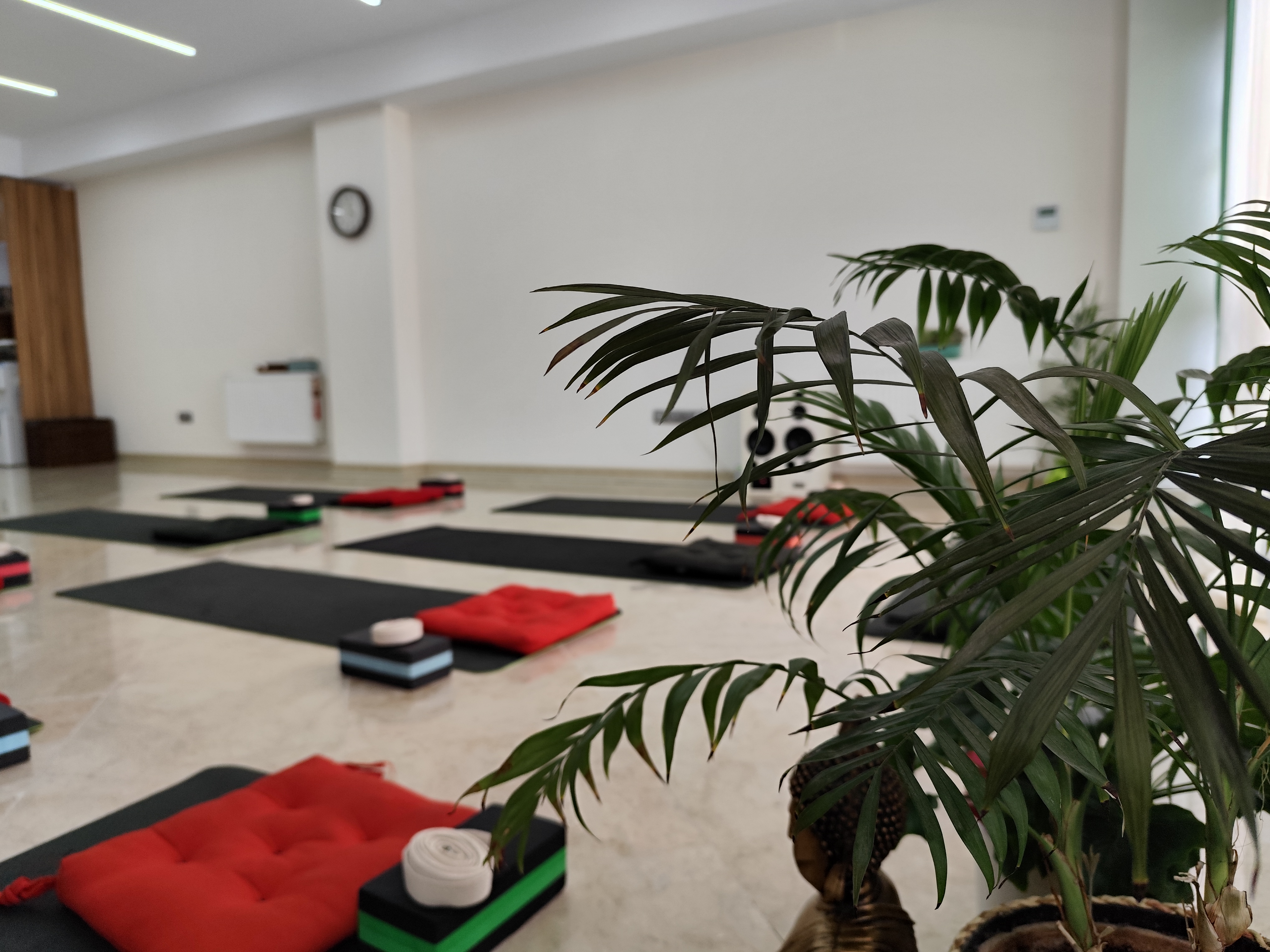 مرکز تخصصی یوگا رمانه (شعبه هفت تیر)