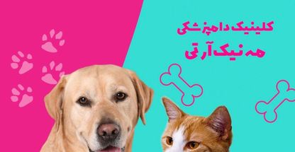 کلینیک دامپزشکی مه نیک آرتی