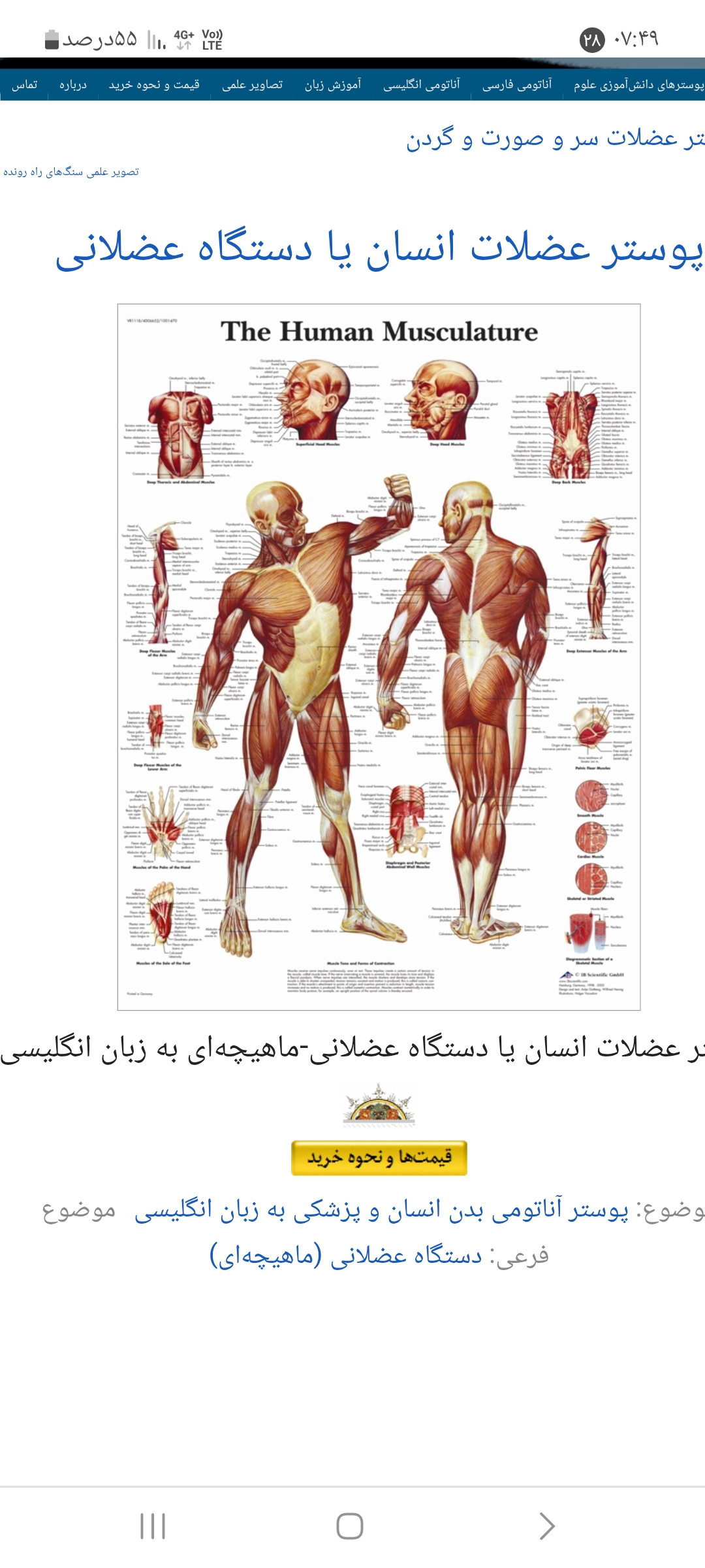 رویال ماساژ