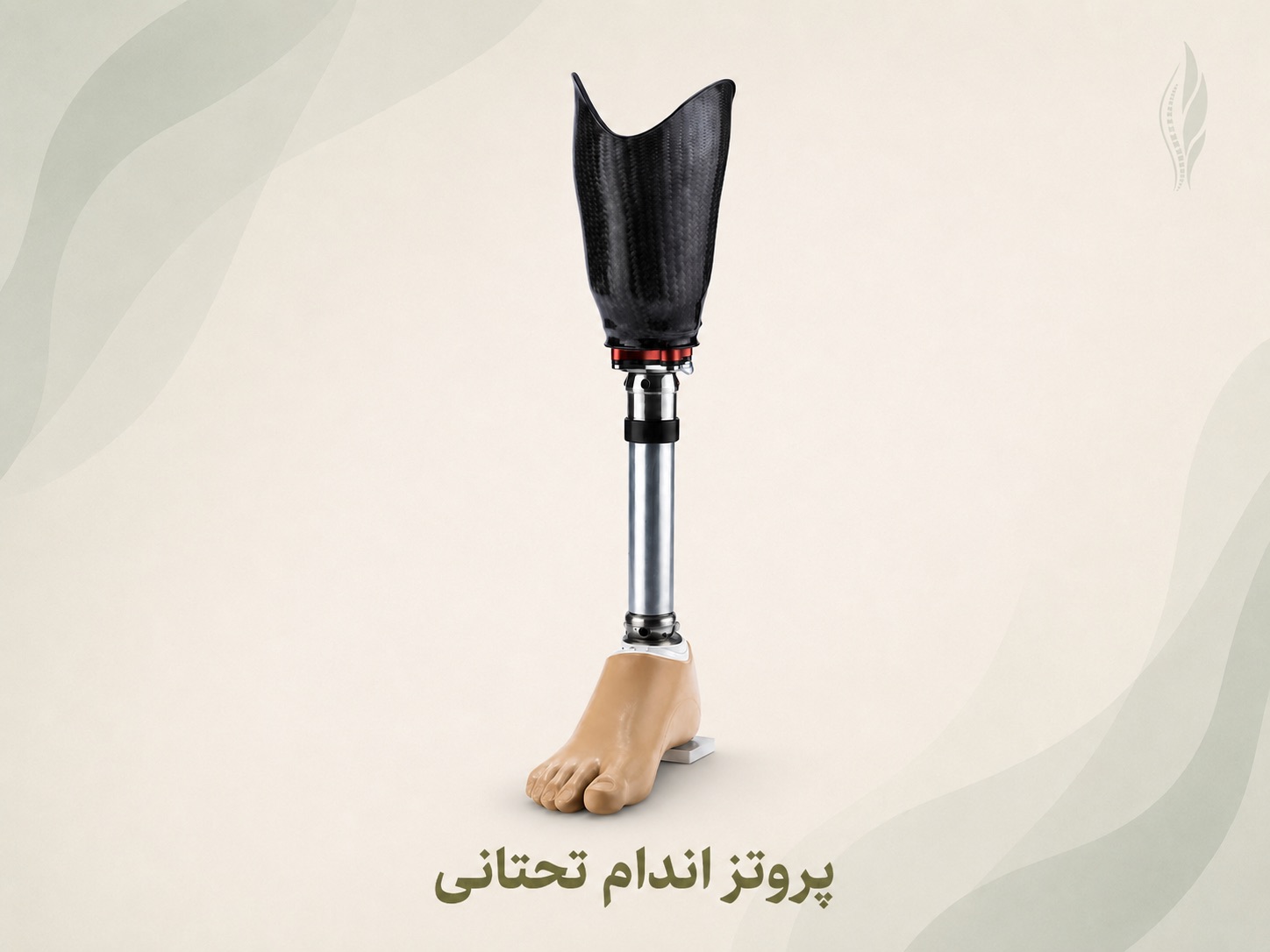 کلینیک ارتوپدی فنی سرو
