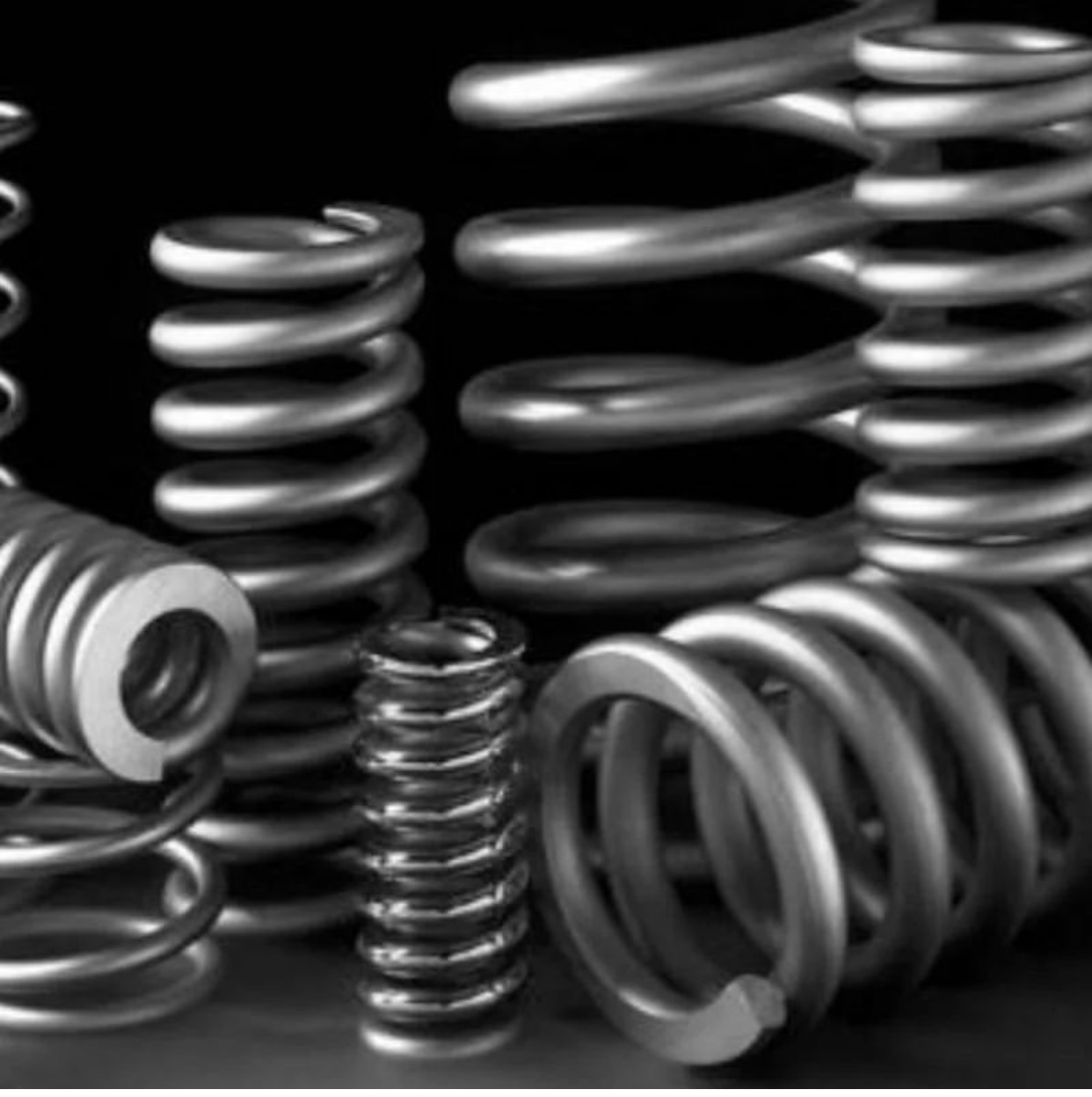 فنرسازی علی جانی