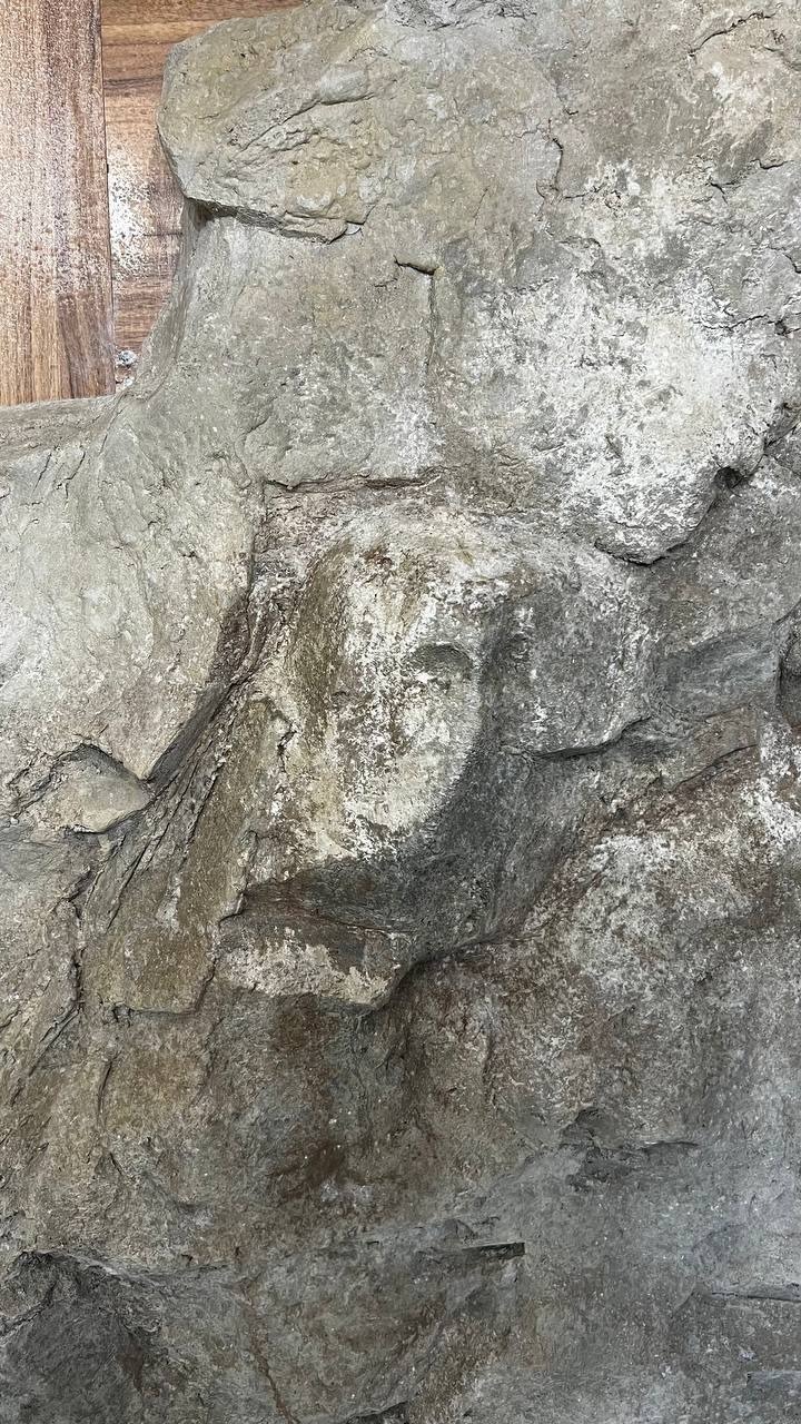 پتینه ی ساختمان و میکروسمنت سانازلطفی