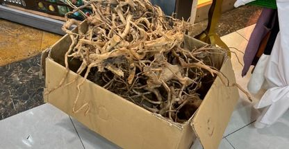 سرزمین آکواریوم تهران