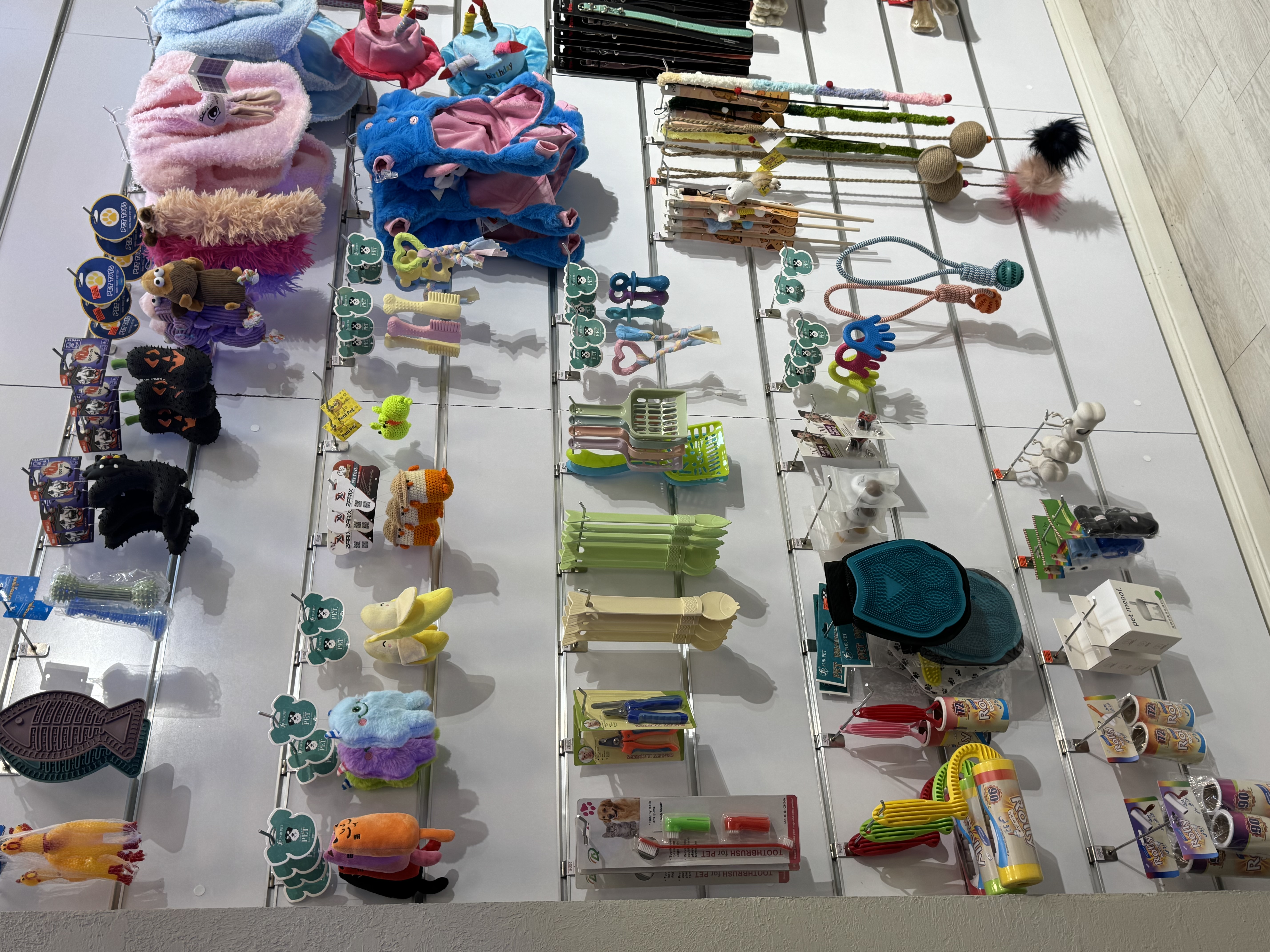 پت شاپ سیلپا