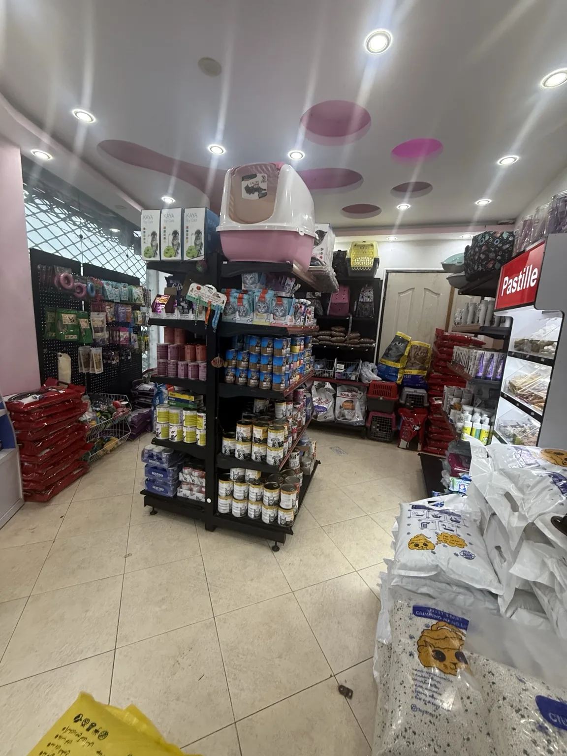 پت شاپ زدپی پت