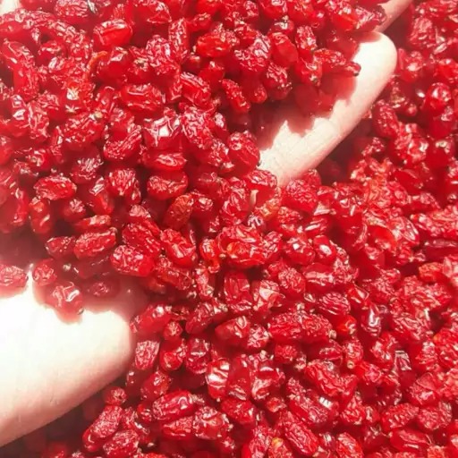 فروش زرشک پفکی اعلا درجه یک قائنات