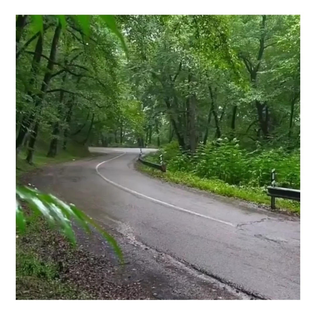 آگاهانه تر با دکتر روانشناس سکاکی