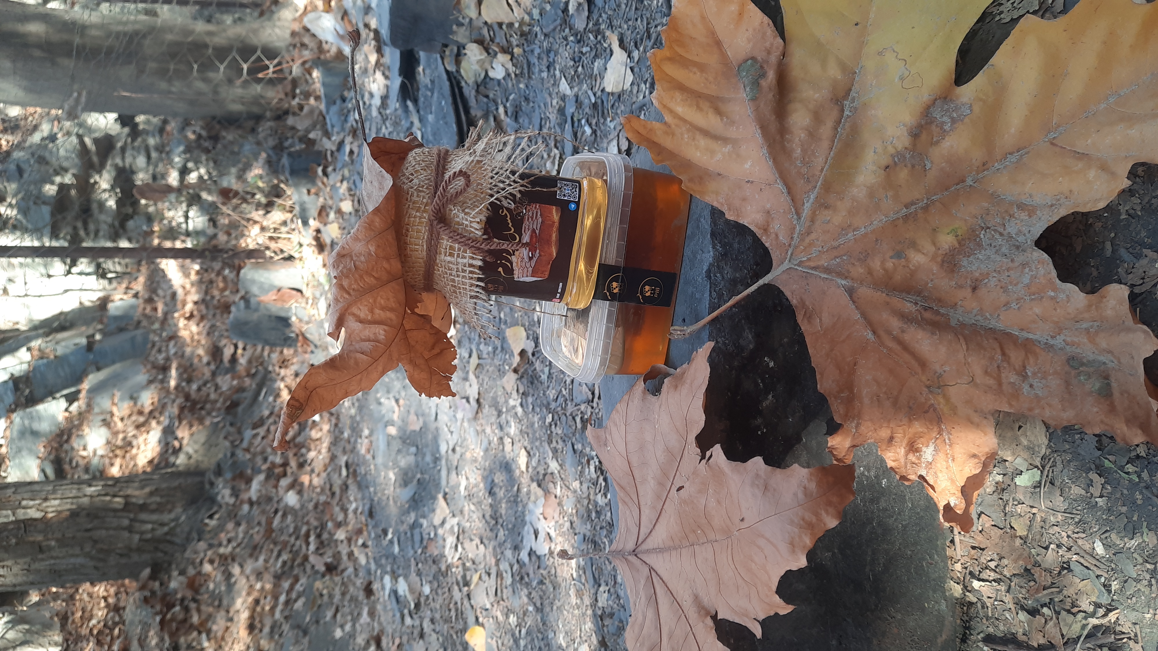 عسل های طبیعی کوهستان  زرزم