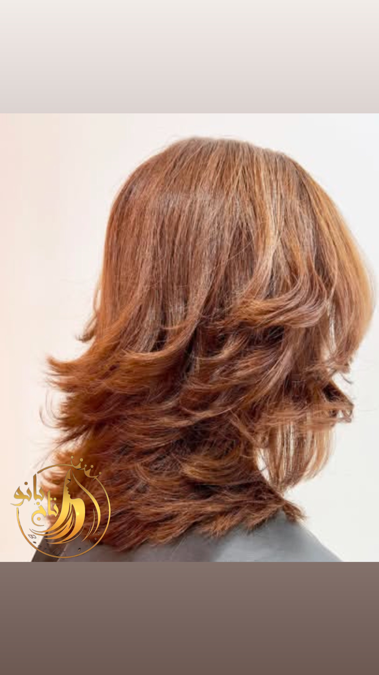 خدمات اموزش  کوتاهی مو  شاهین شهر