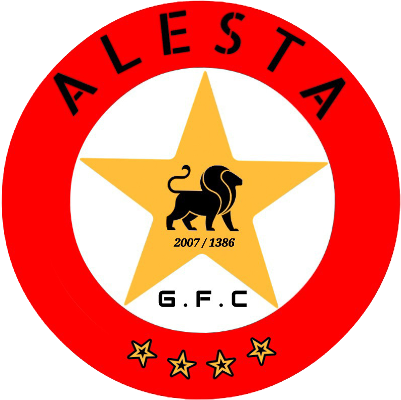 طراحی لوگو مگالوگو