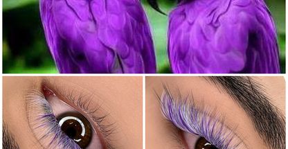 مرکز تخصصی مژه سحر پناهیان