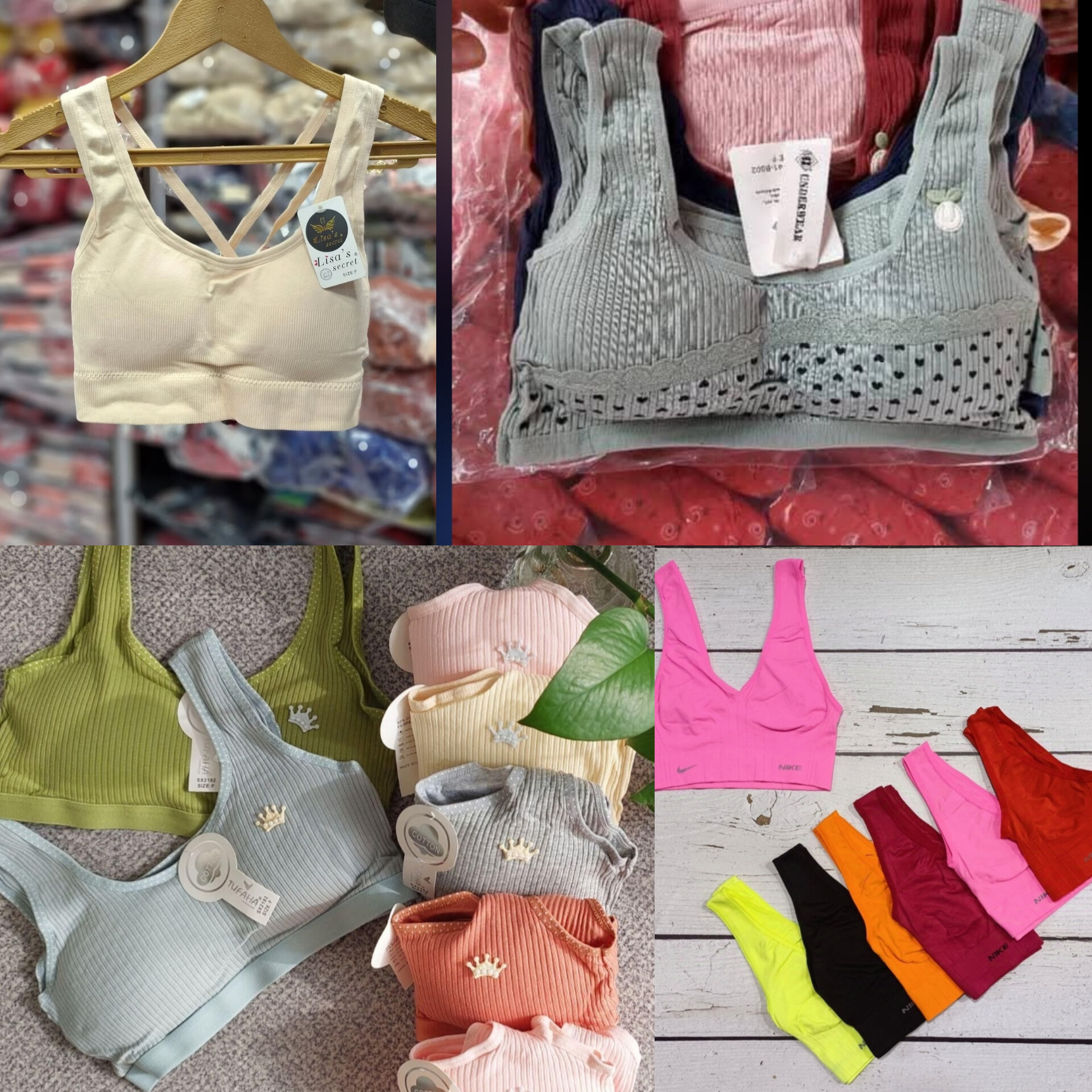 گالری شکوفه های گیلاس