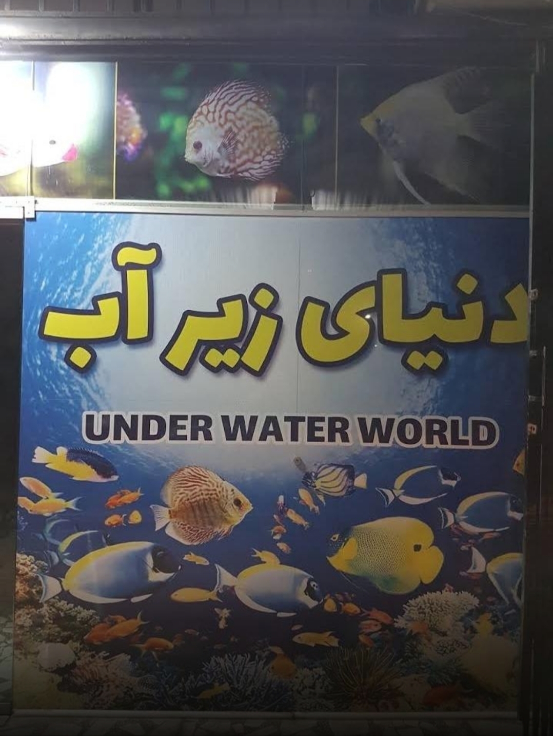 فروشگاه آکواریوم دنیای زیر آب