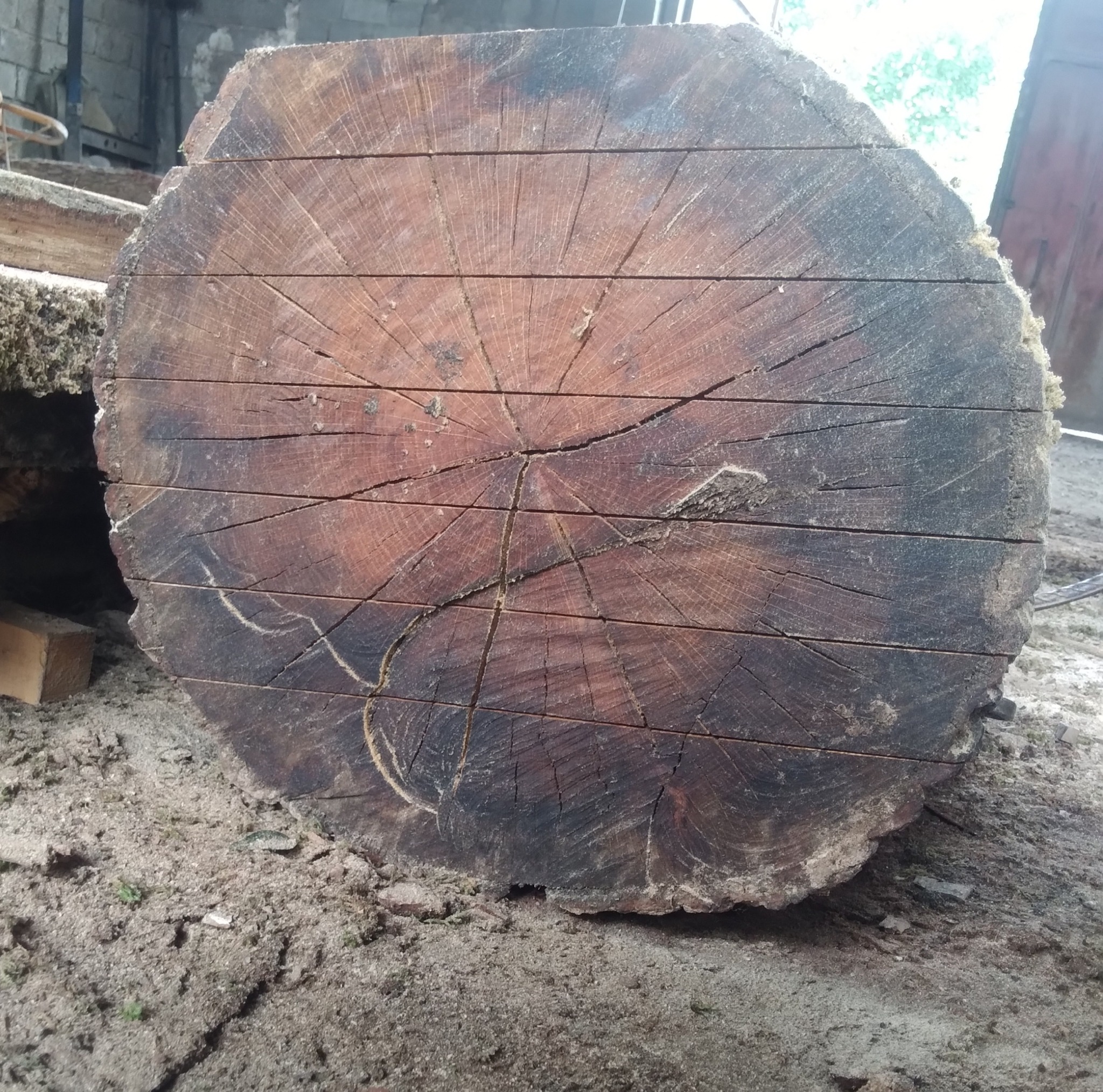 چوب فروشی شمال