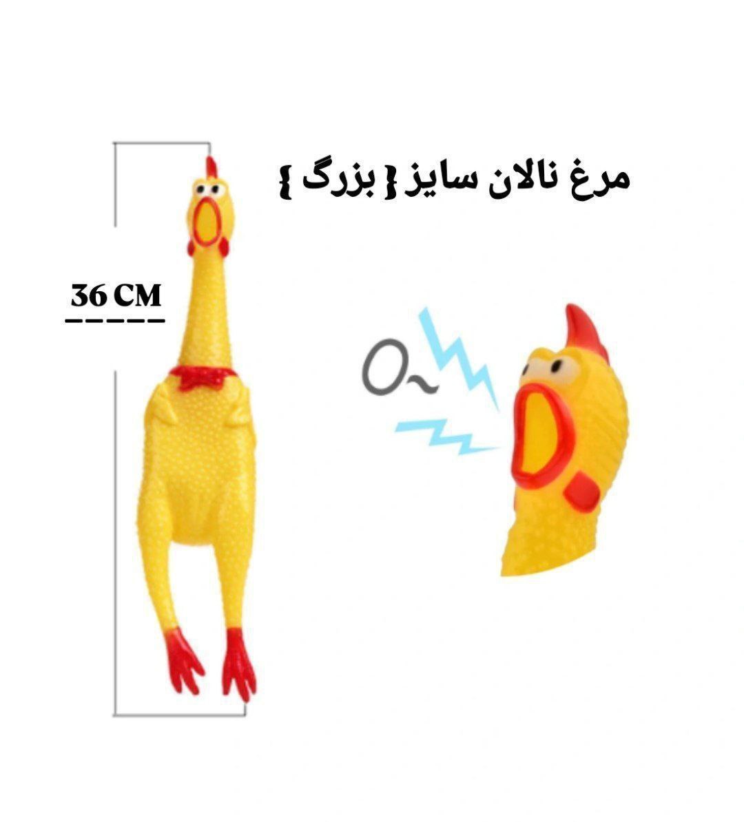 اسباب بازی ناصری