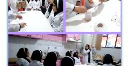 دبیرستان دخترانه غیر دولتی مهر گستر ان