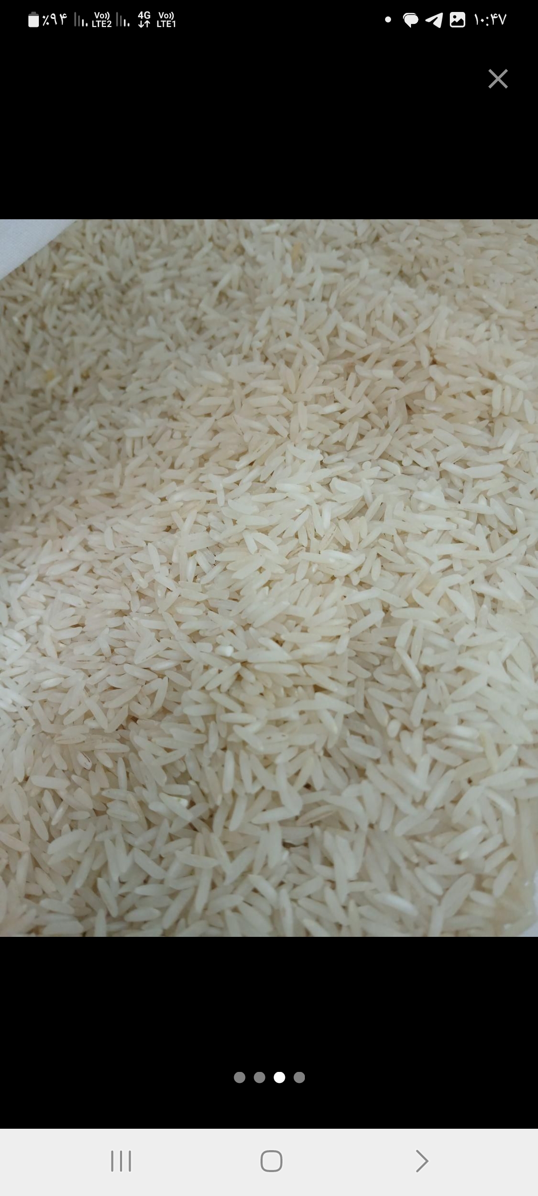 فروش برنج هاشمی  برنج طارم گرگان