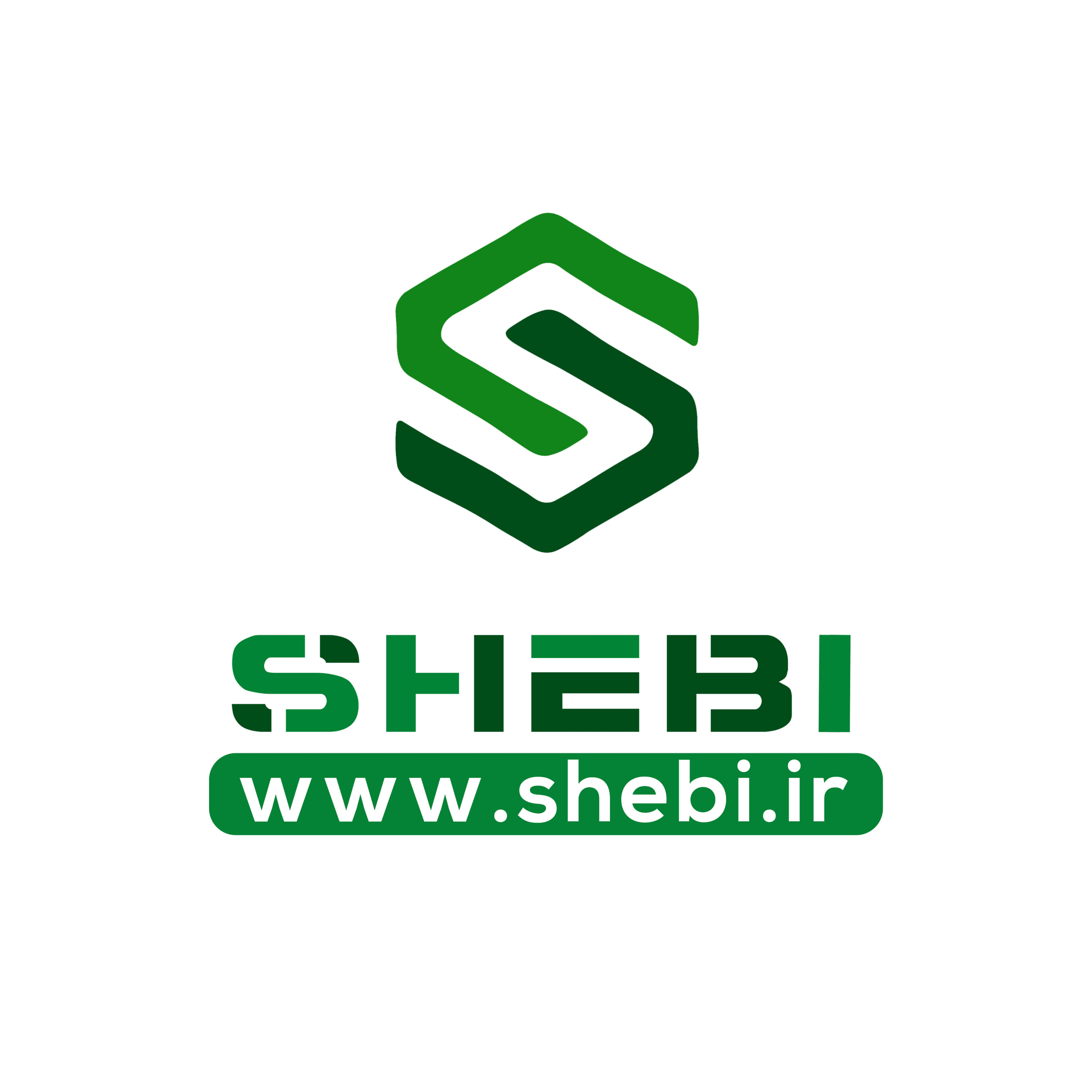 طراحی سایت و سئو مجموعه شِبی