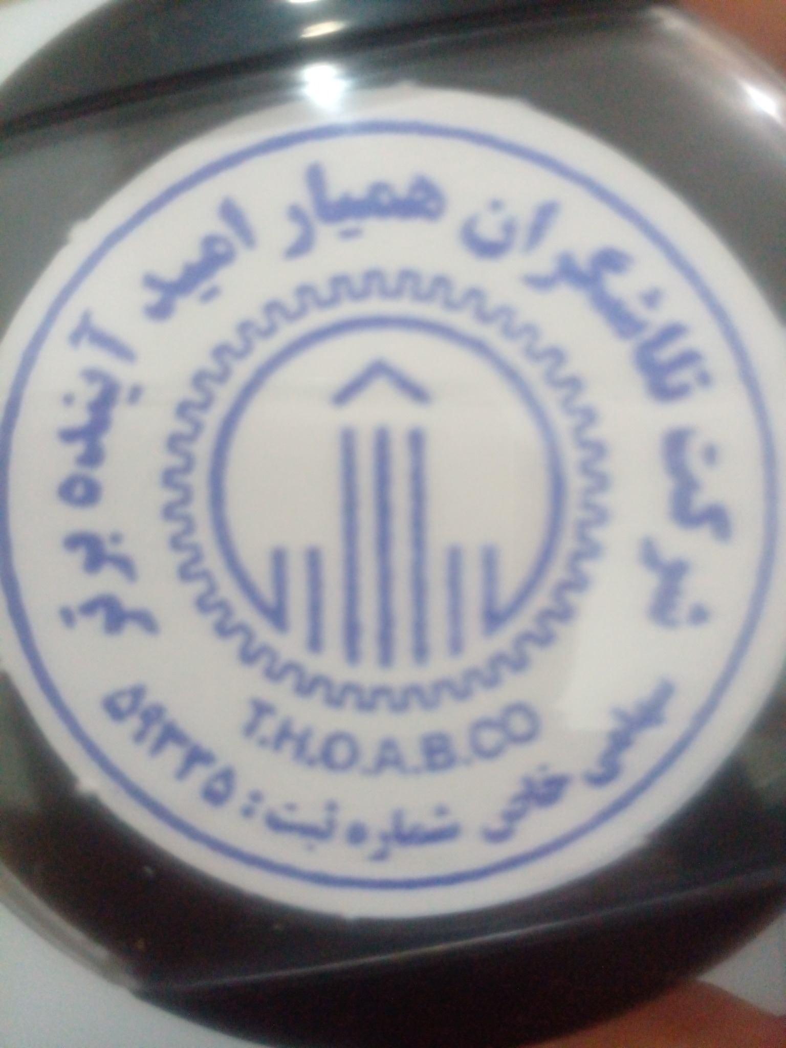 شرکت خدماتی تلاشگران همیار امید آینده