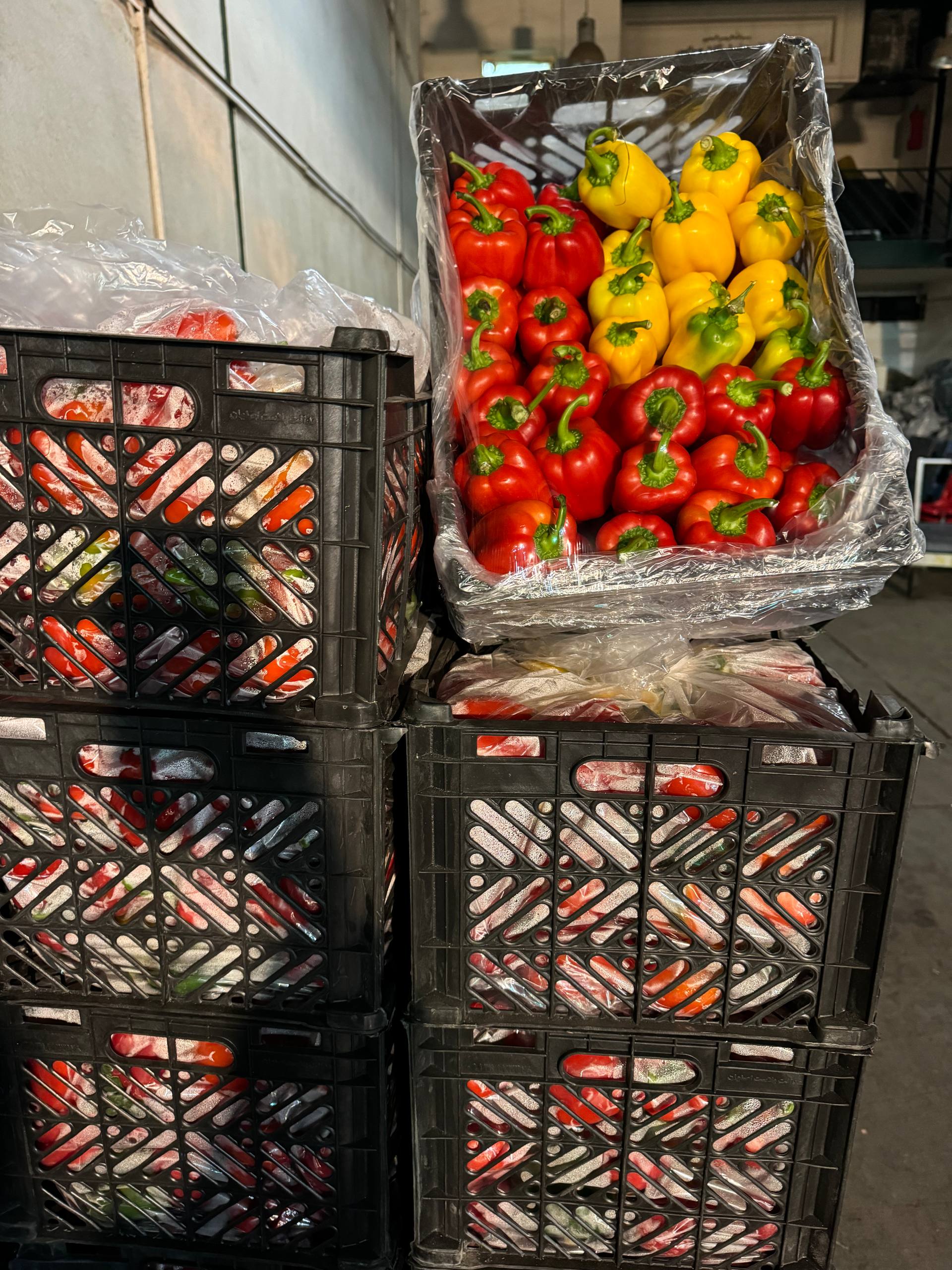 بازرگانی فارم پلاس