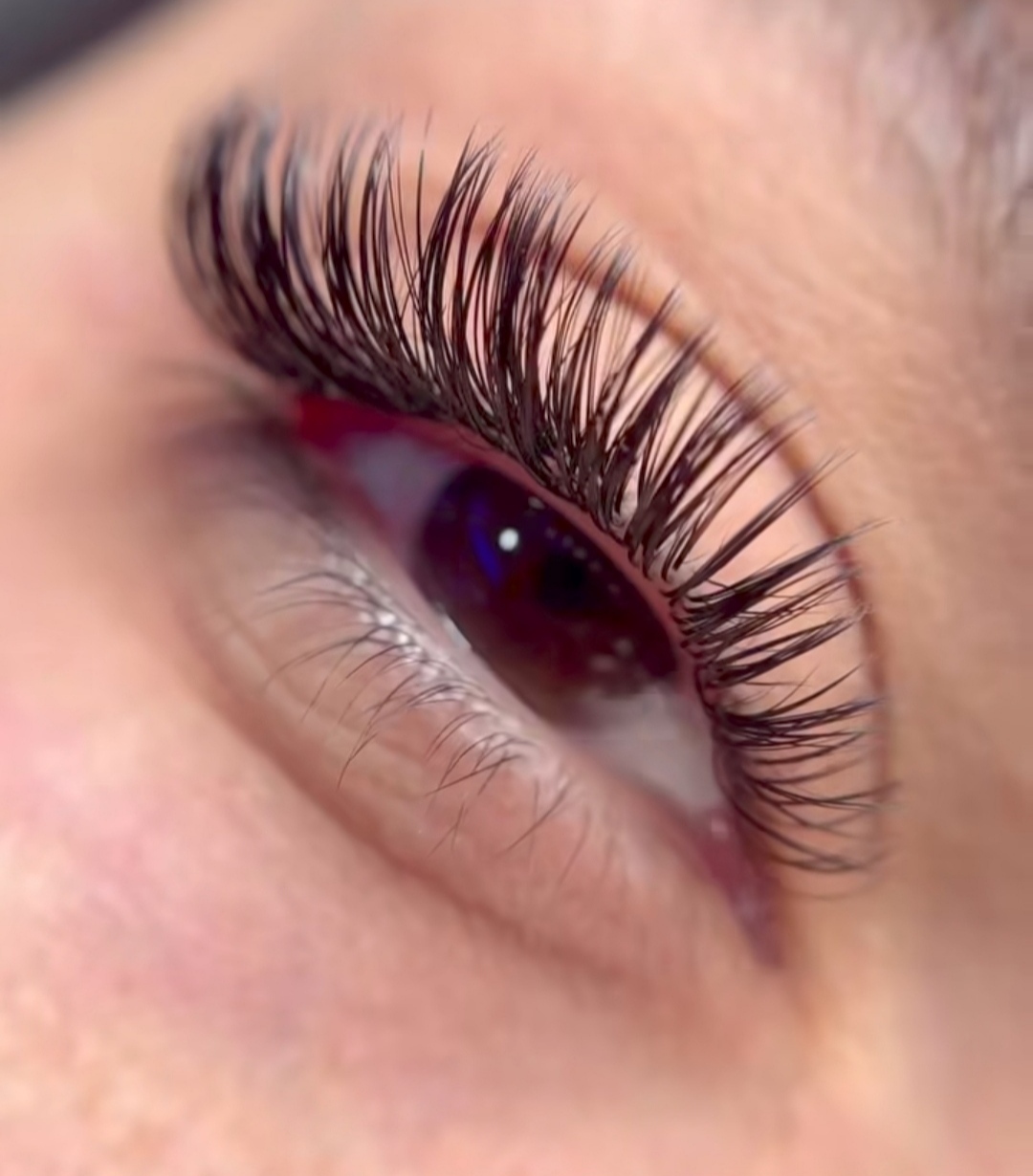 خدمات تخصصی مژه و ابرو پاتریشیا