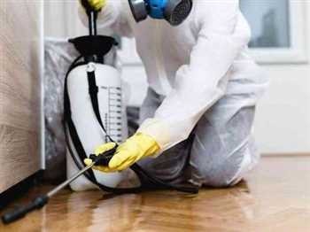 خدمات سمپاشی محمدی