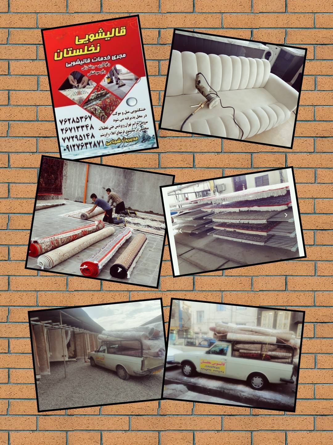 قالیشویی و مبلشویی مجاز نخلستان