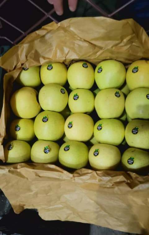 دفتر بازرگانی اِروس