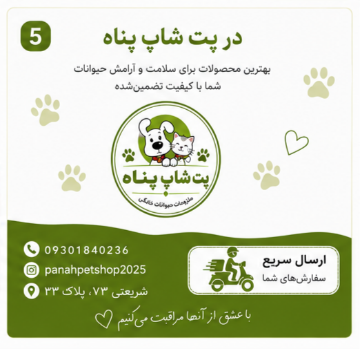 خدمات تخصصی حیوانات پناه