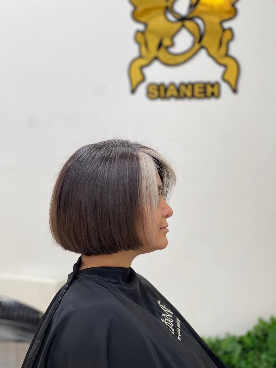 خدمات وآموزش تخصصی کوتاهی مو امیدی