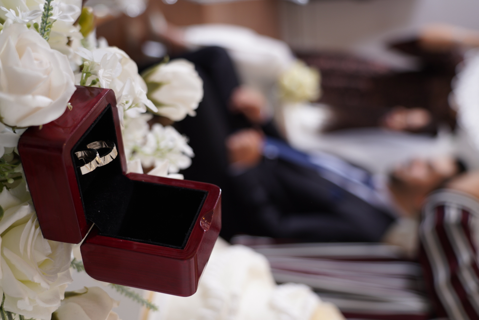 عکاس حنطوش زاده