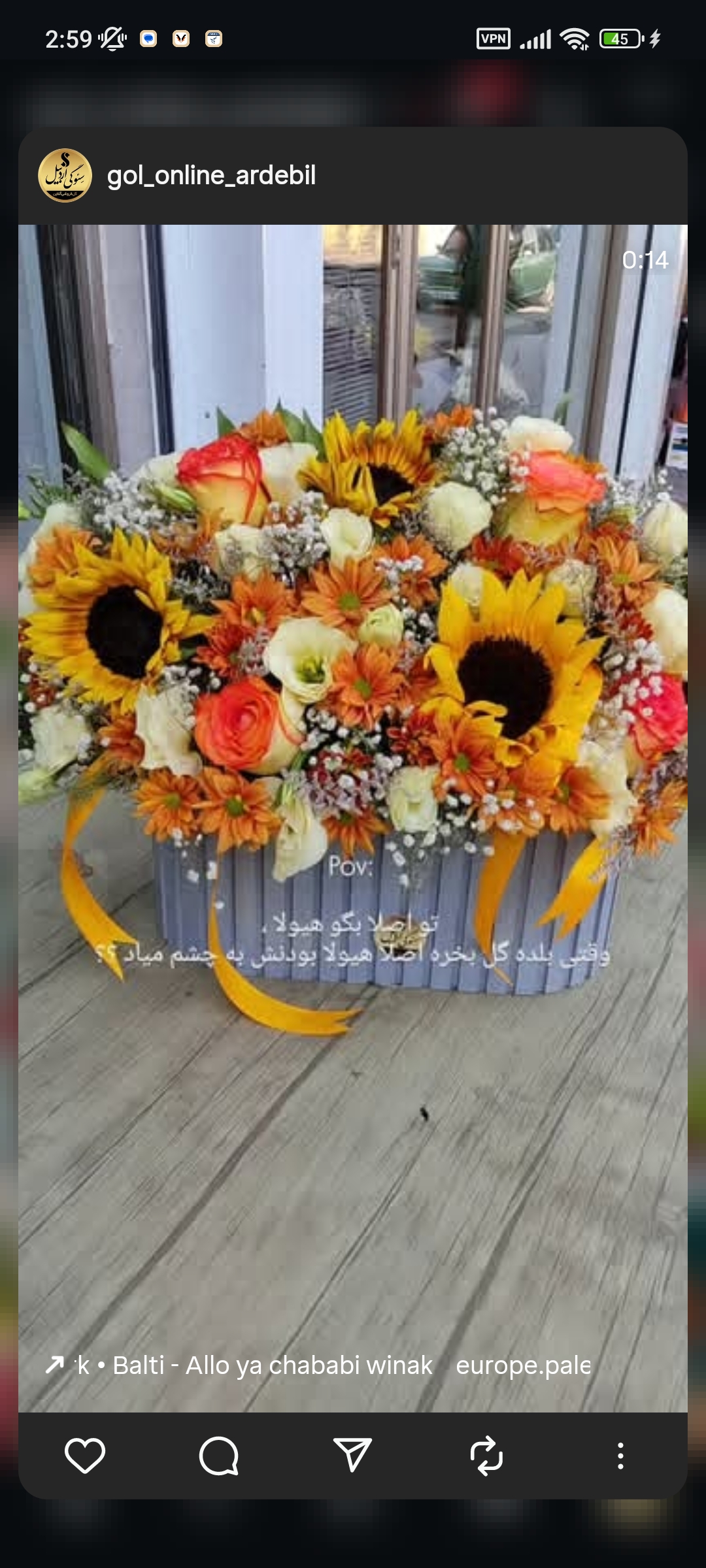 گلفروشی آنلاین سِئوگی اردبیل