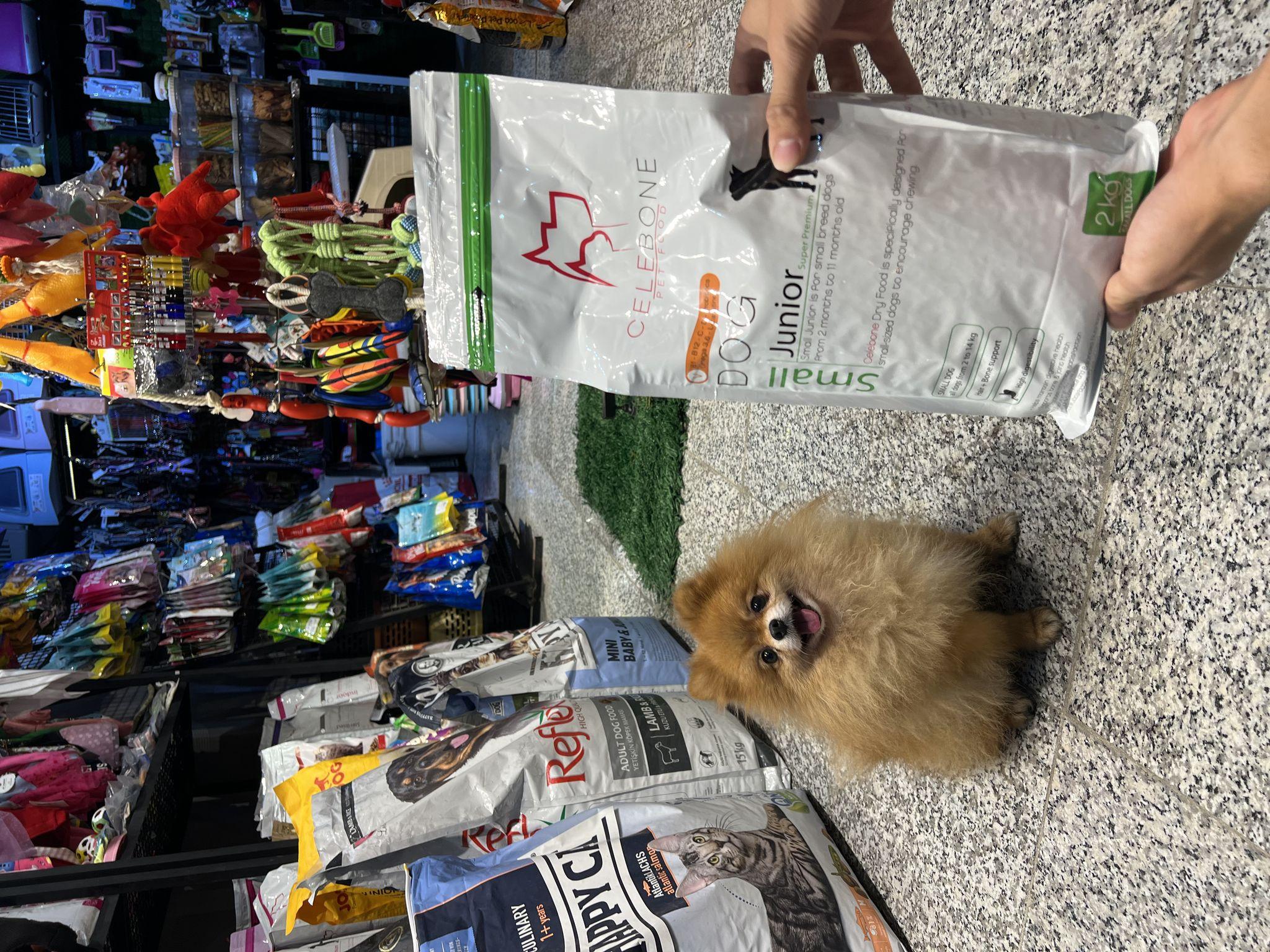 پت شاپ فراز (عظیمیه)