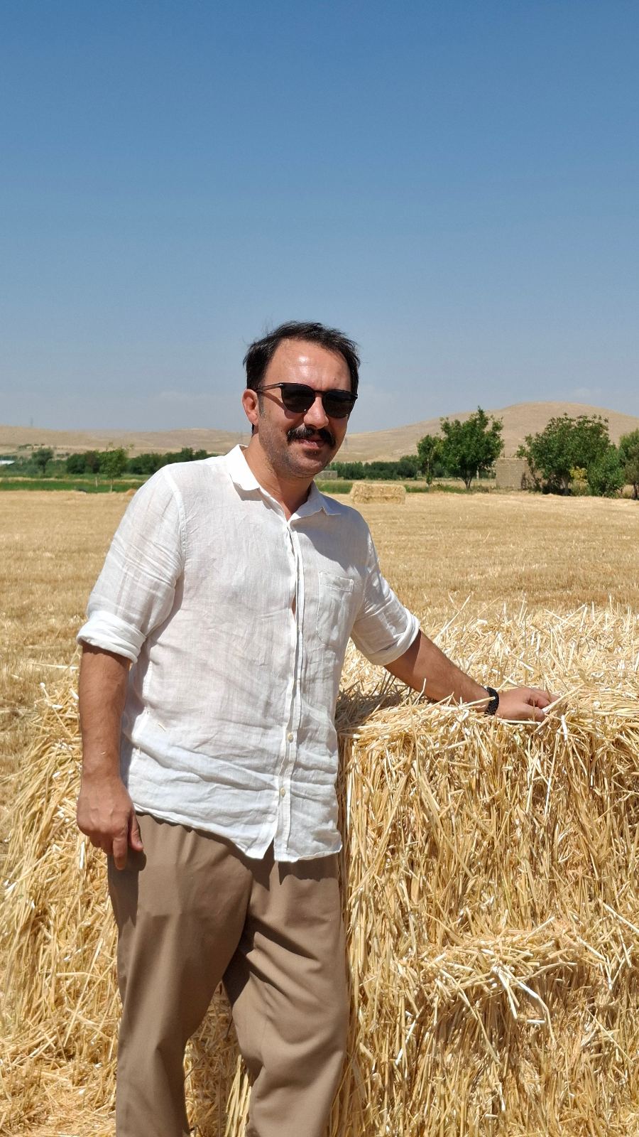وکیل