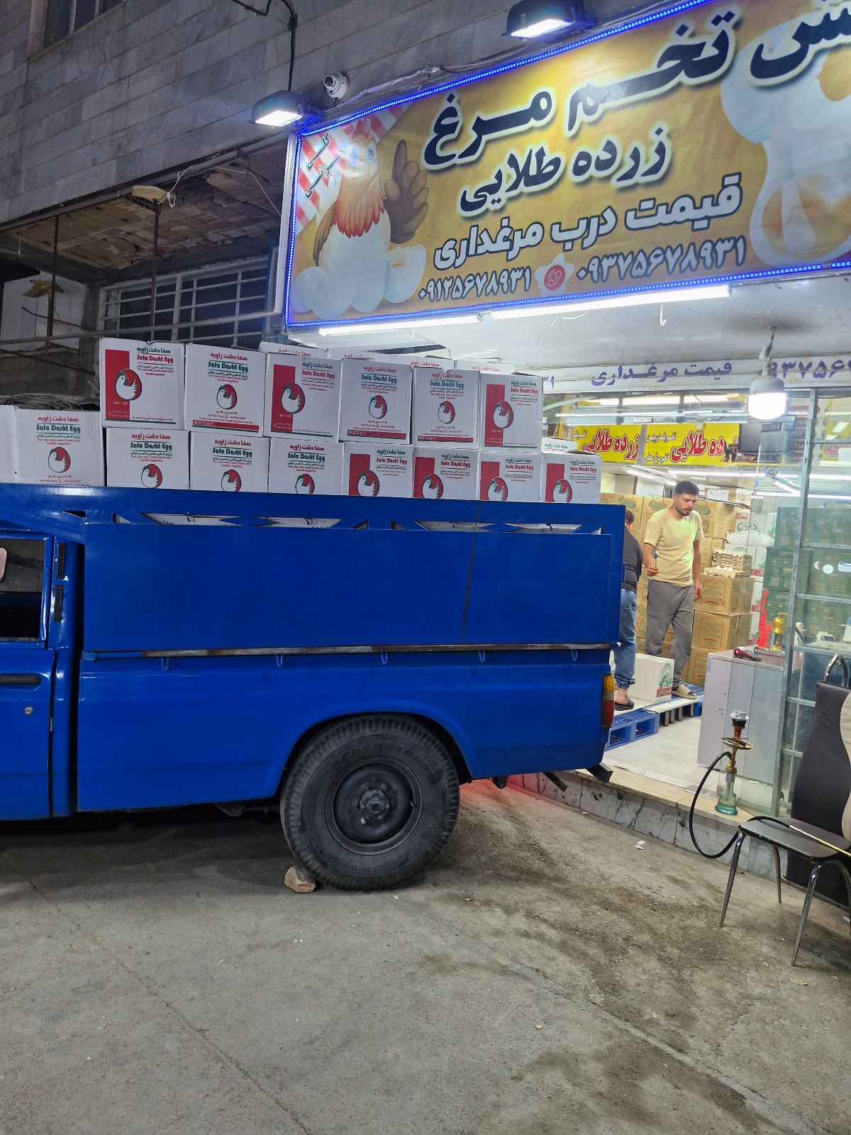 پخش تخم مرغ زرده طلایی صفا دشت