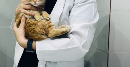 کلینیک دامپزشکی و پت شاپ کارما