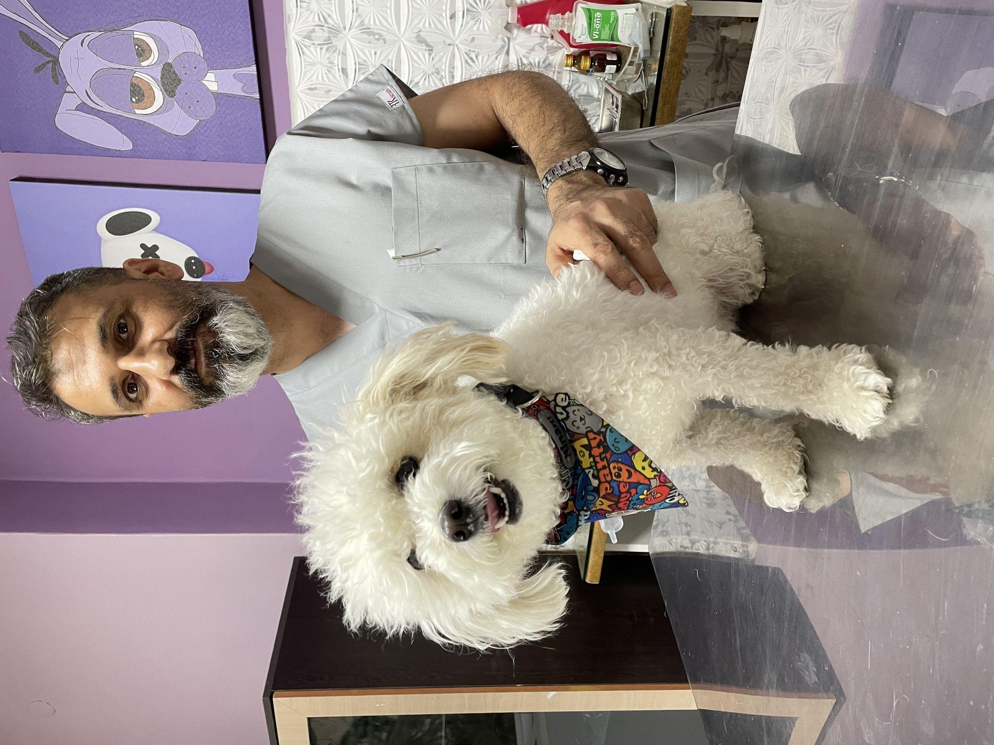 کلینیک دامپزشکی هفال