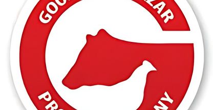 شرکت گوشتین