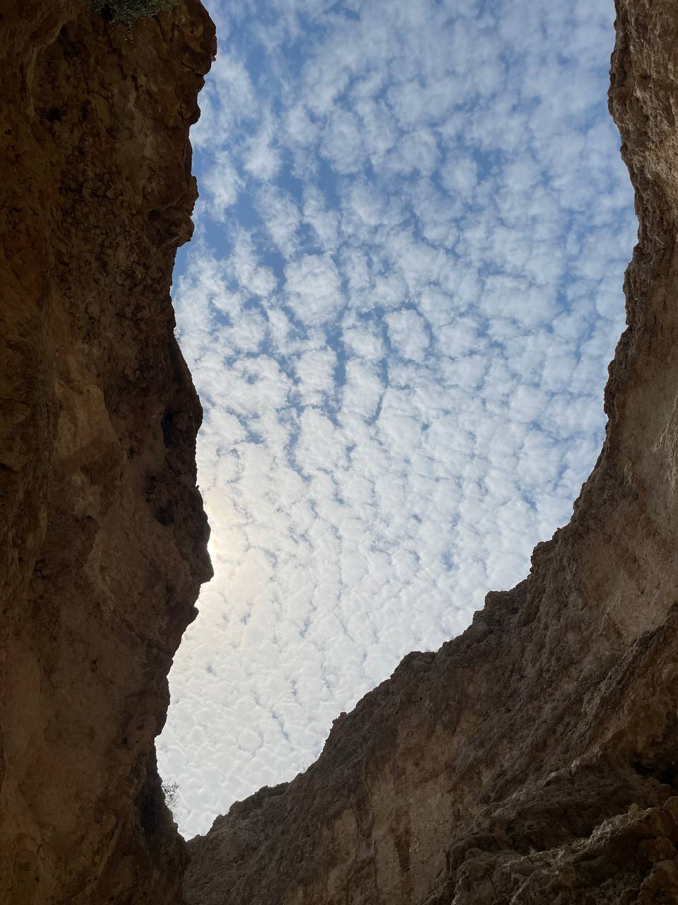 مرکز تخصصی اپیلاسیون مرجان مخصوص بانوان