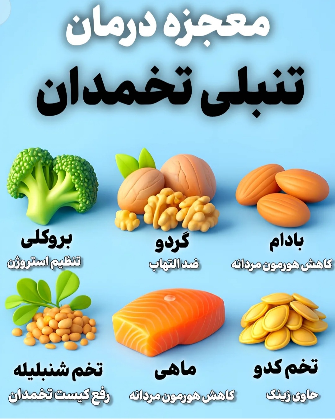 پزشک خانواده اصغری