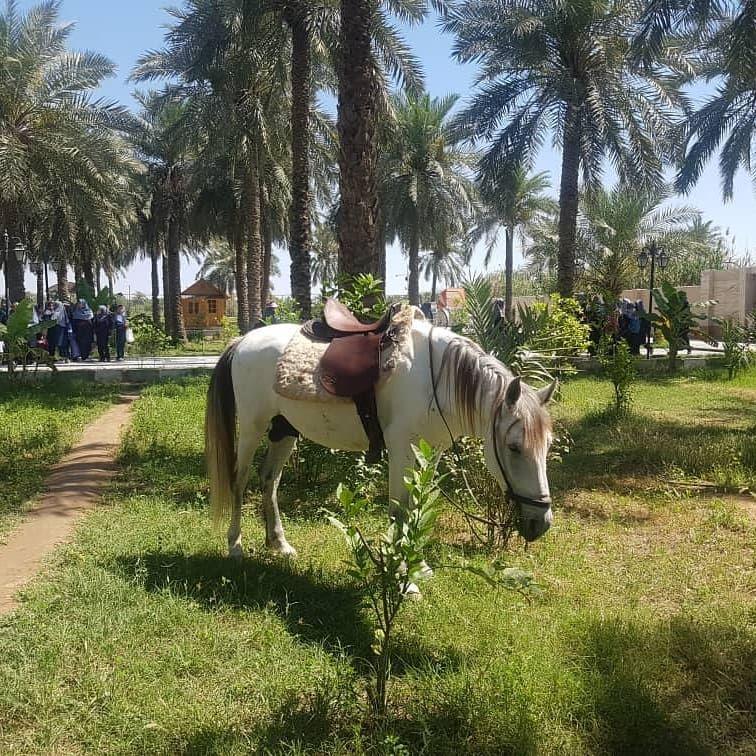 مجتمع اقامتی تفریحی باغ طالبی