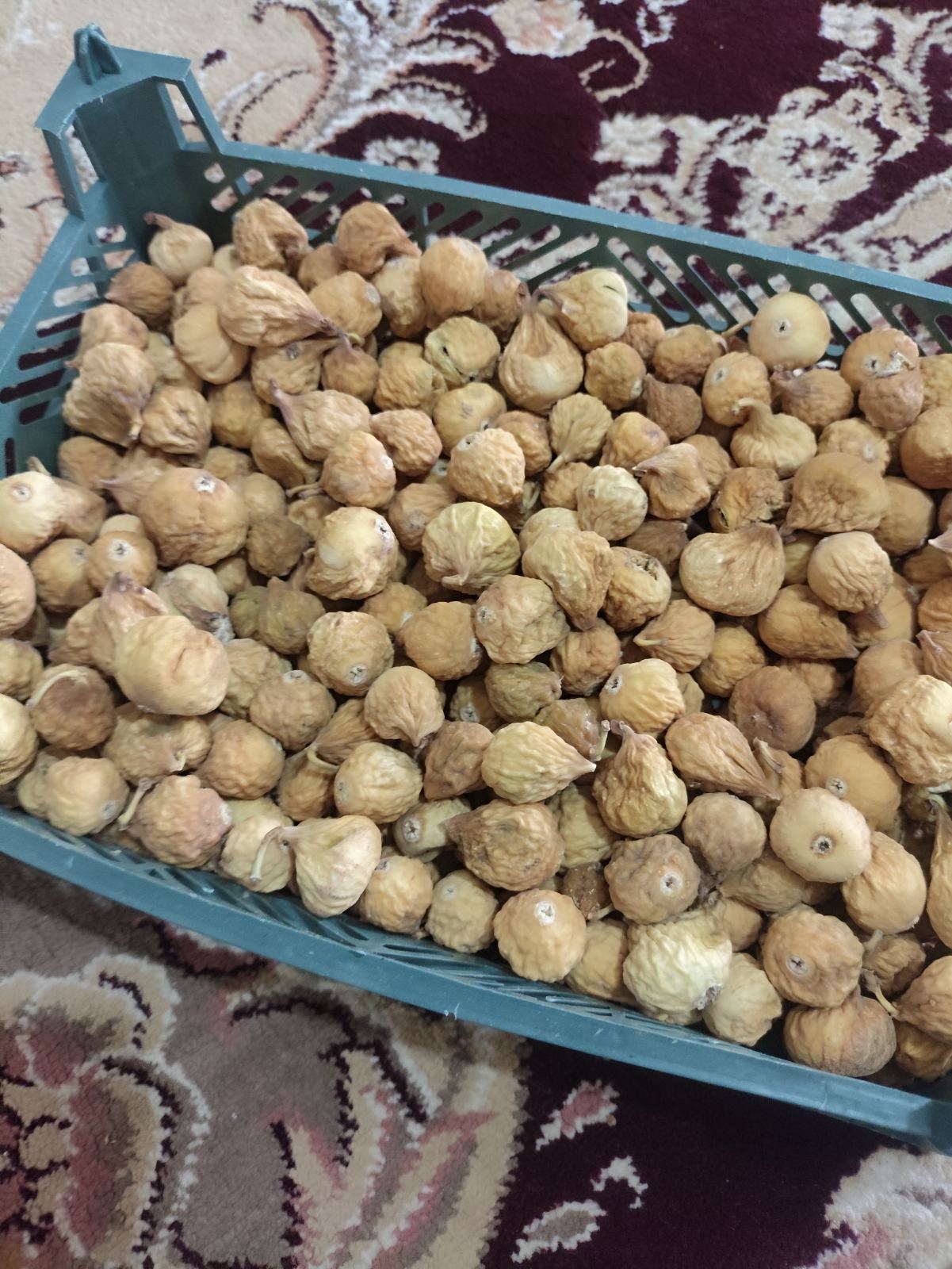 انجیر اسهبان