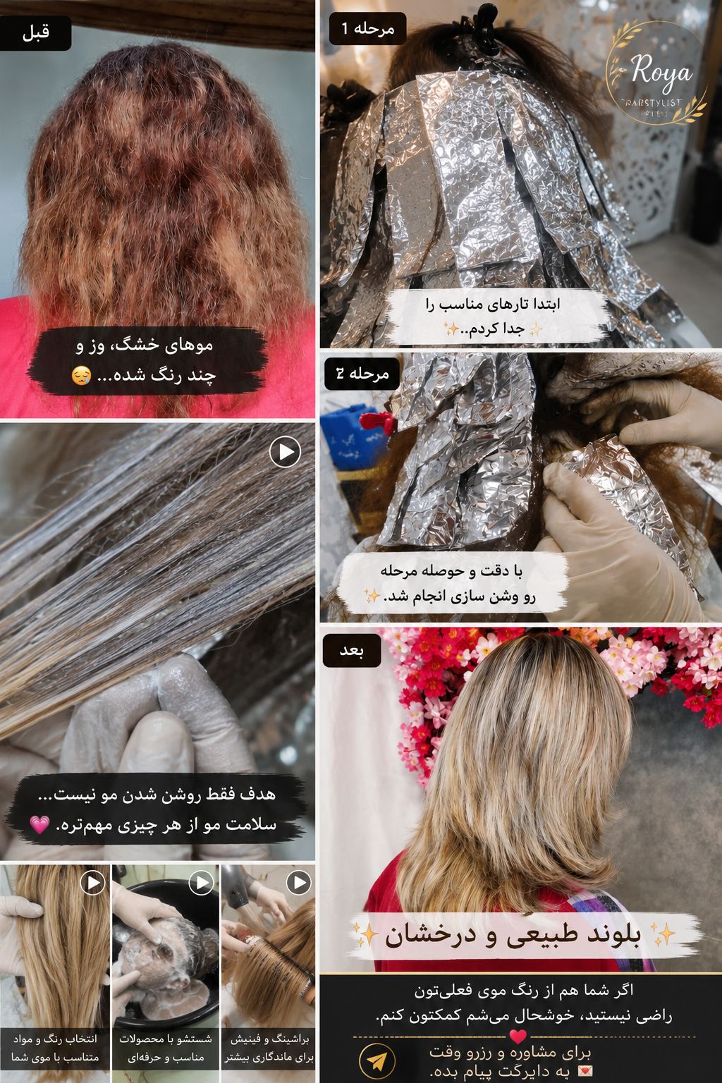 رنگ و لایت