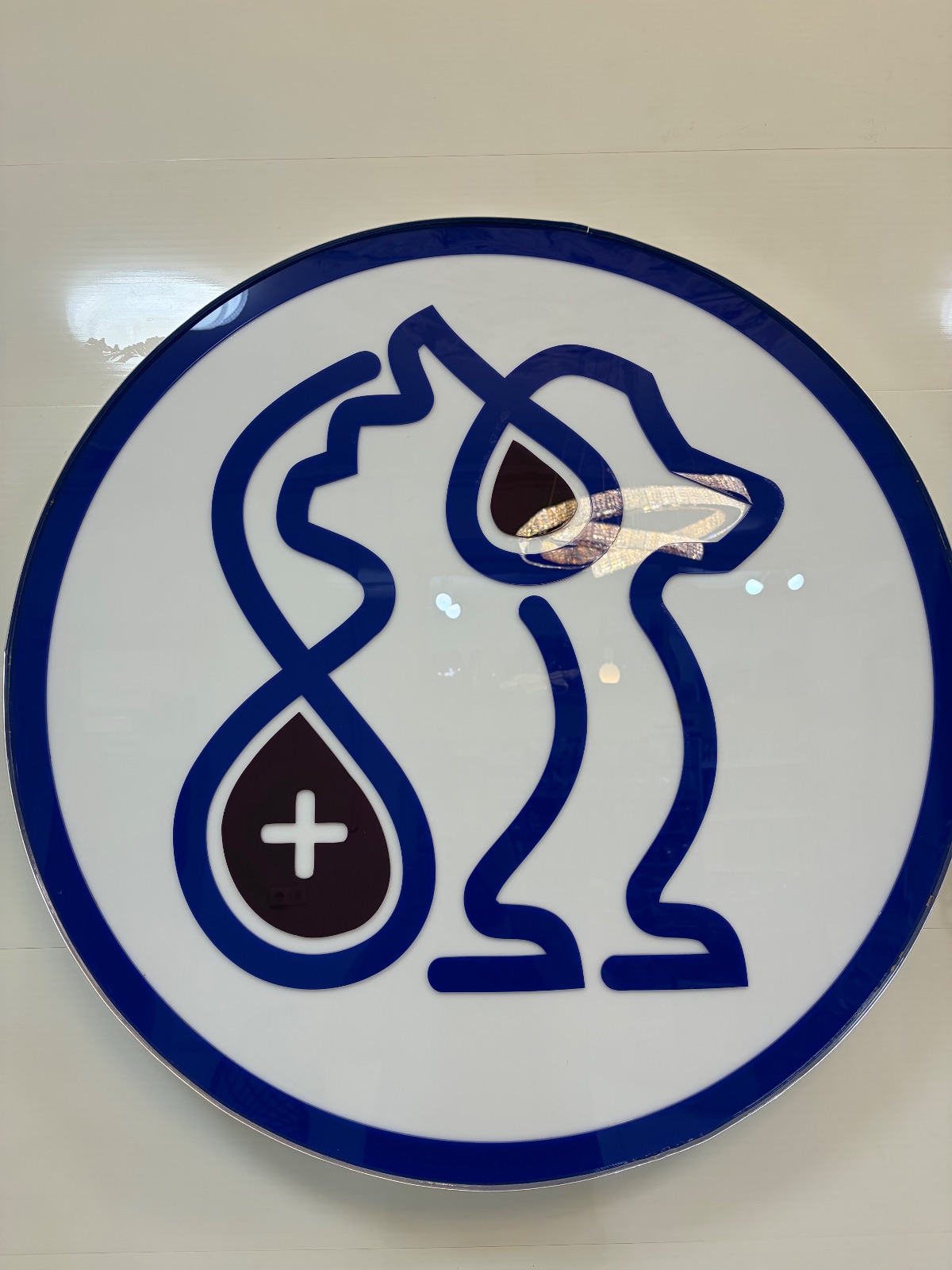 کلینیک دامپزشکی مهرگان شهرکرد