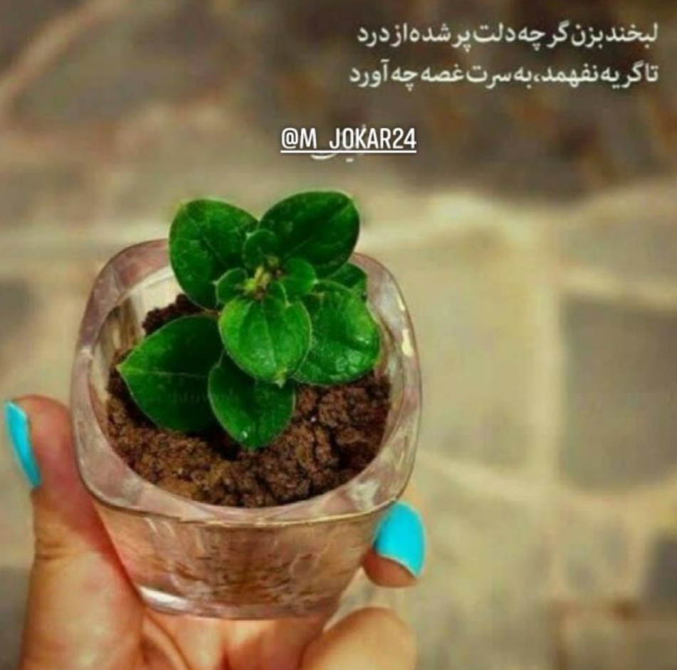 سالن زیبایی پرنیا