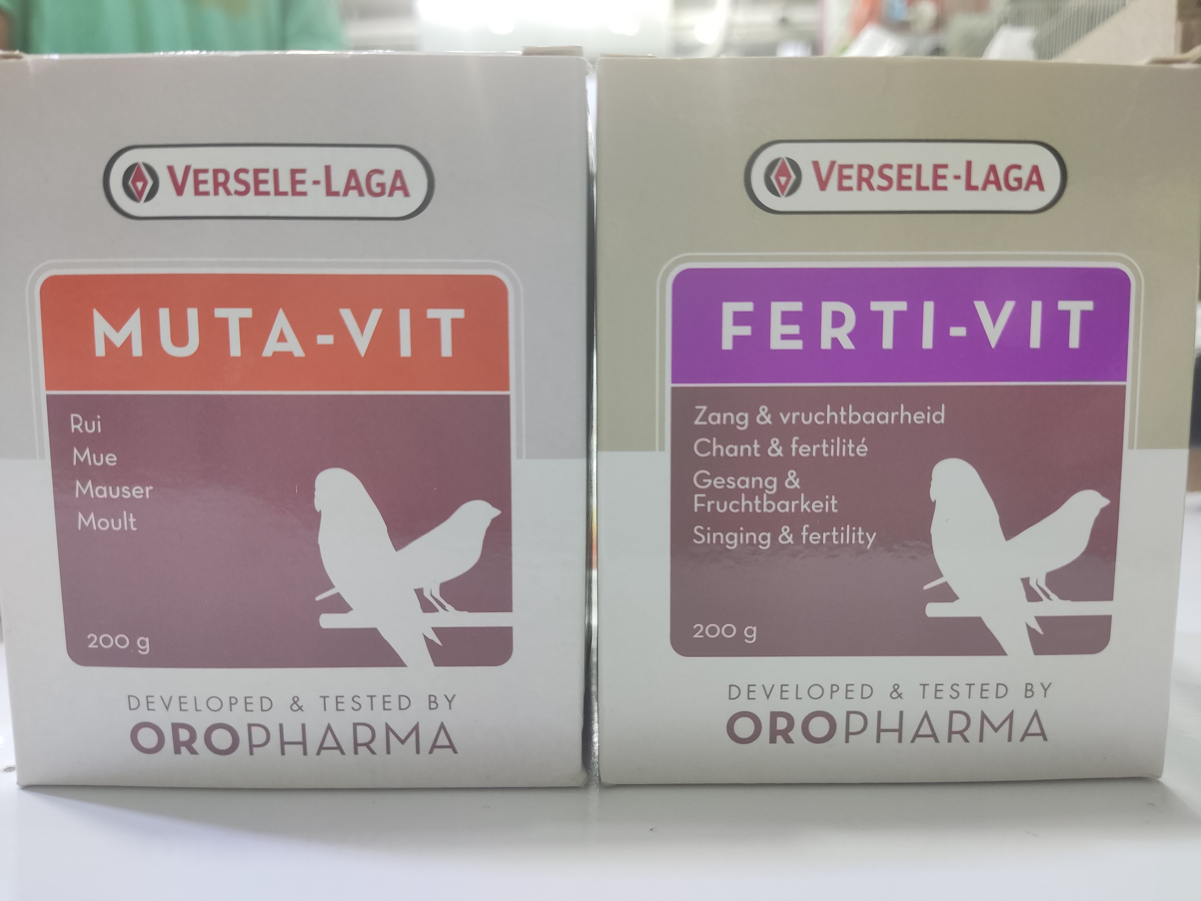 پرنده سرای مرتضی