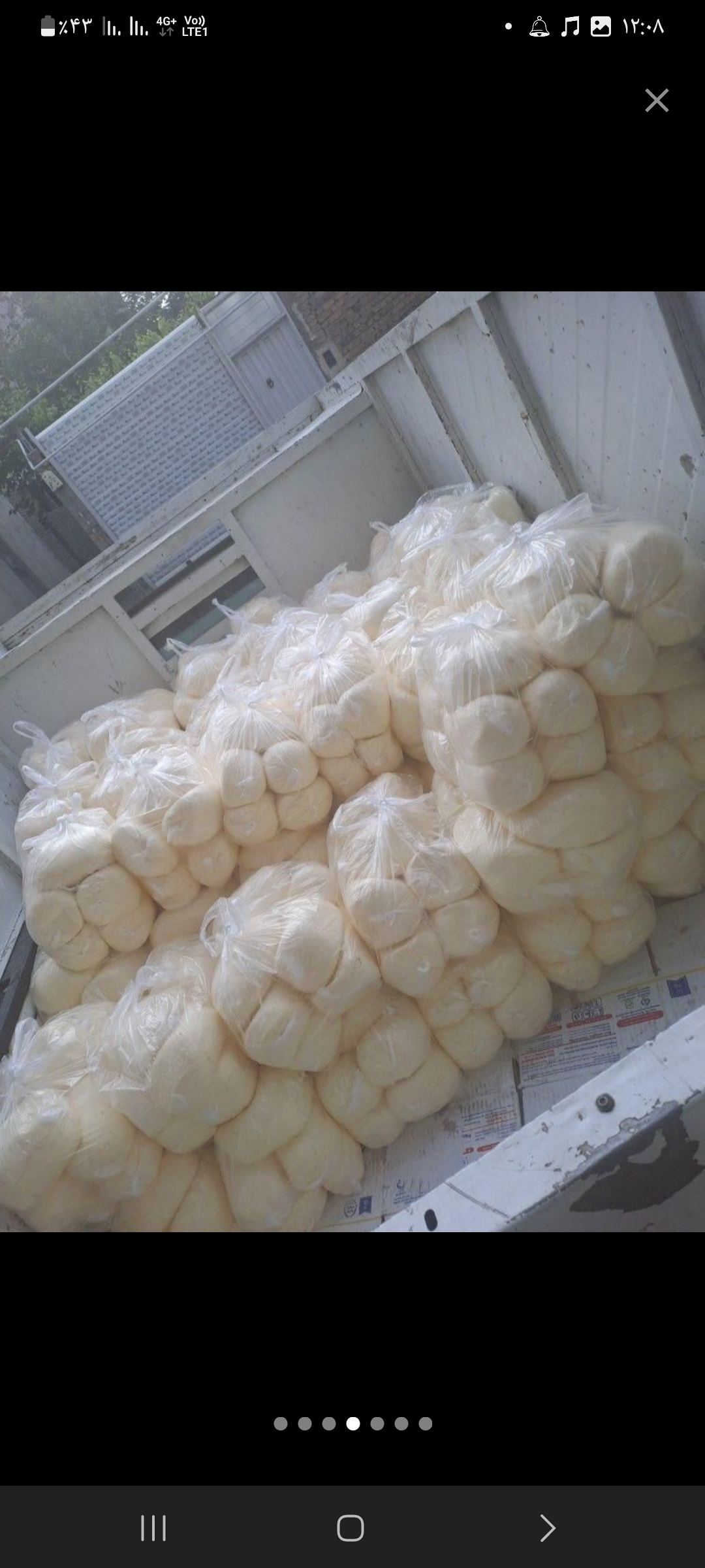 کره محلی گاوی رستمی