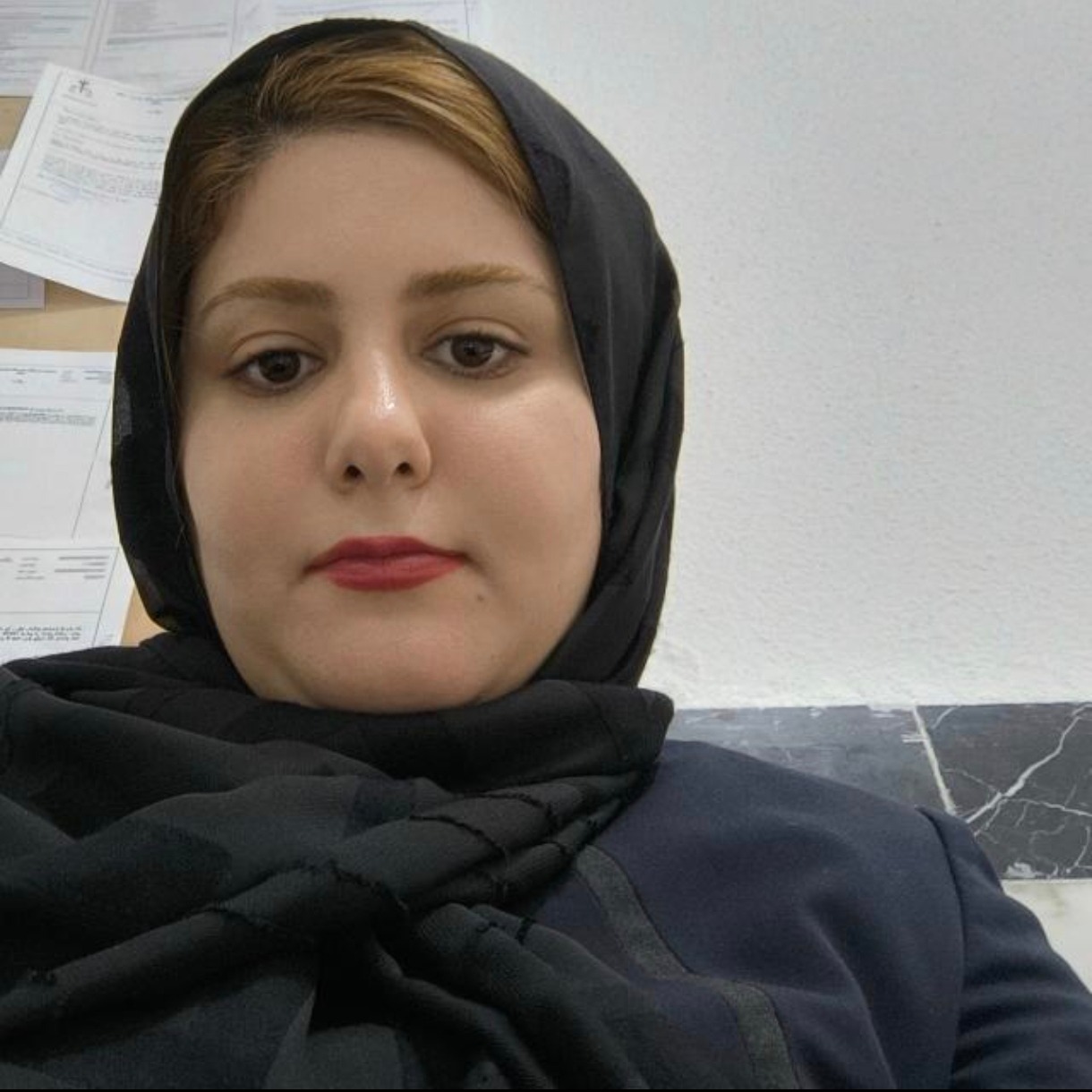 دفتر وکالت مینا پاشنا وکیل پایه یک