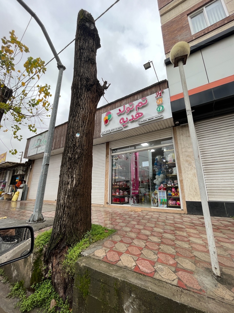 تم تولد هدیه