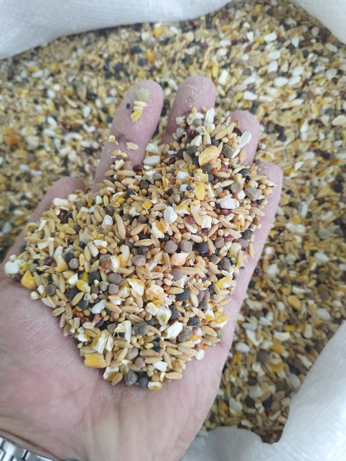 ملزومات حیوانات خانگی حقی (پتشاپ)
